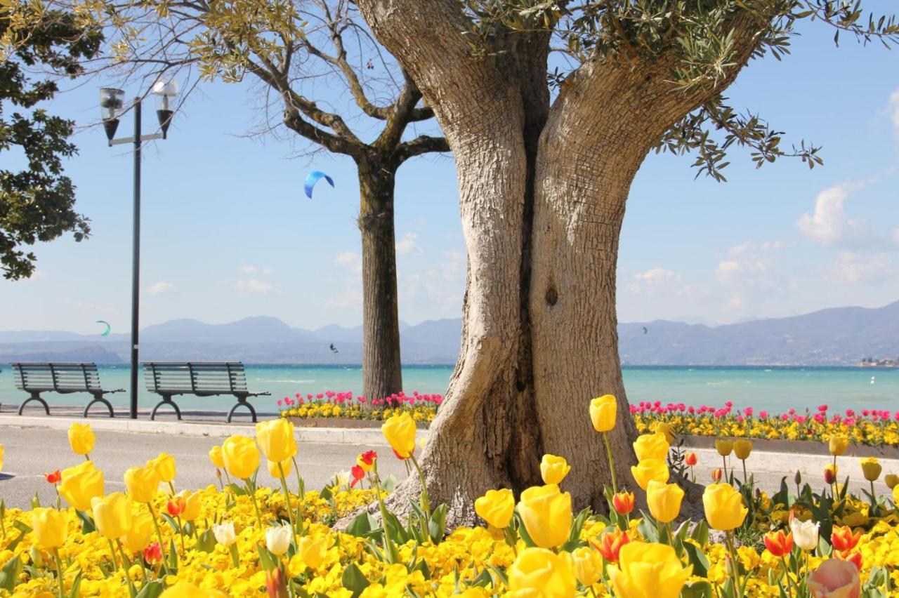 Apartment Bardolino Lake Front Exterior foto